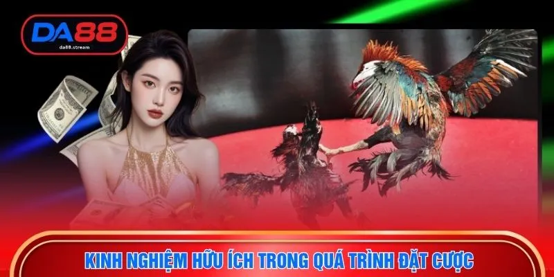 Đá Gà Thomo - Cá Cược Kê Chiến Trực Tuyến Đỉnh Cao Tại DA88 4 Kinh nghiệm hữu ích trong quá trình đặt cược